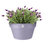 loft urban coupe 35cm lavande lilas